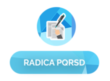 Radica1