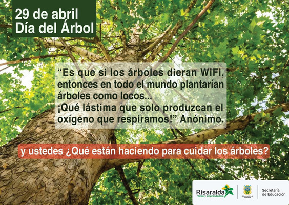 Instituciones educativas de Risaralda celebran el Día del Árbol este 29 de  abril