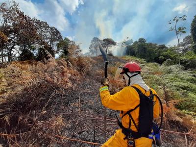 En 2024 se han registrado en Risaralda más de 200 incendios de cobertura vegetal