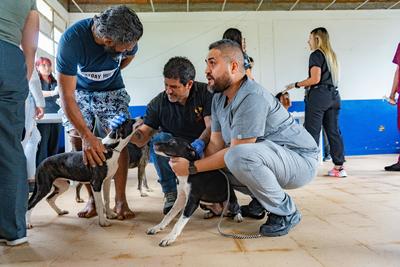 Gobernación de Risaralda y Unisarc trabajan por el bienestar de las mascotas
