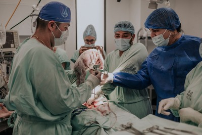 Cesárea humanizada, una práctica quirúrgica que estrecha los lazos entre padres e hijos